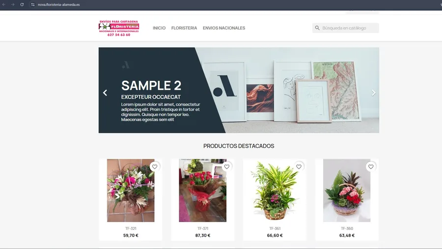 Página web antigua de floristería en Cartagena - antes del rediseño
